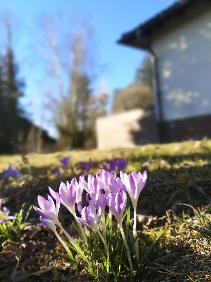 Postbauer-Heng Haus Zur Lachenden Lieselotte I 5 Minuten Zu Fuss Zum Kostenlosen Naturbad I Messenaehe I Waldnaehe גרמניה
